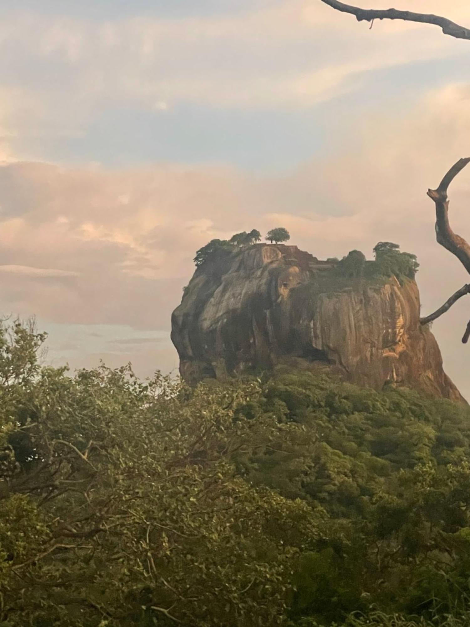 Reggae Paradise Hostel Sigiriya Ngoại thất bức ảnh